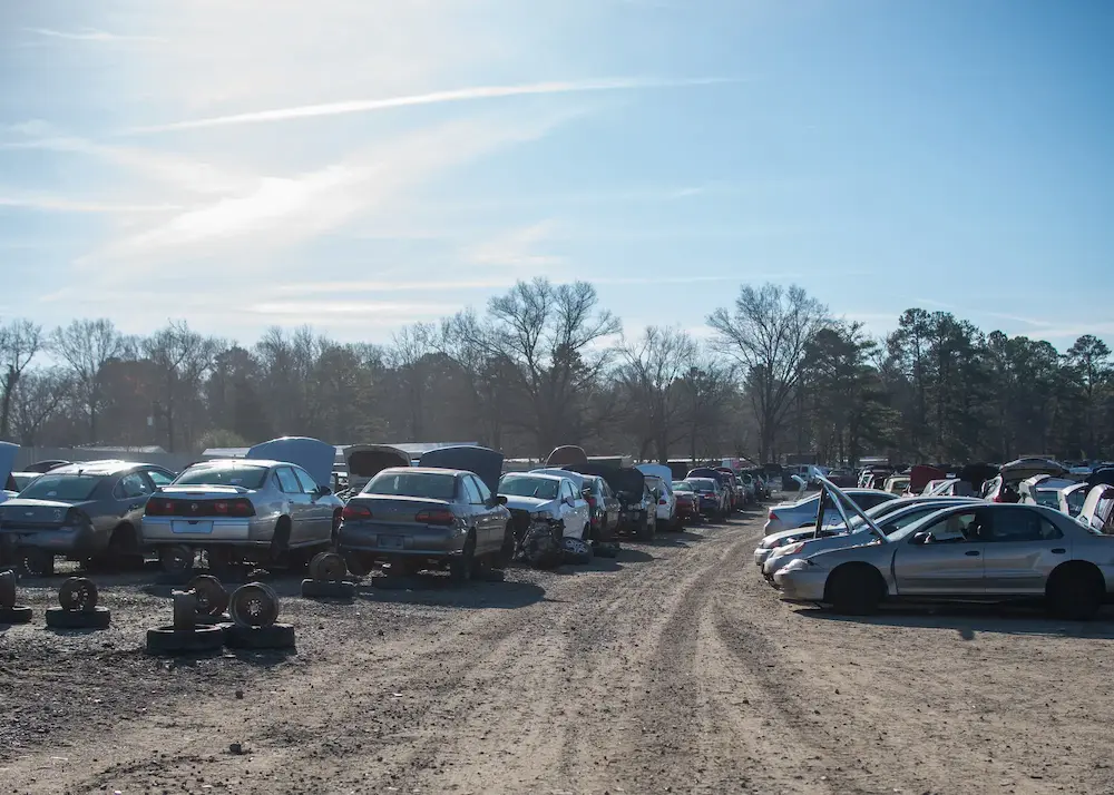 Assortment of cars in our junk yard