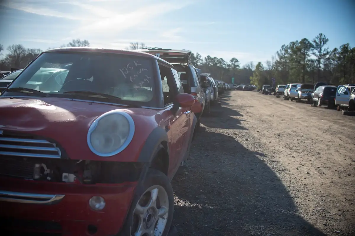 Row of junked cars