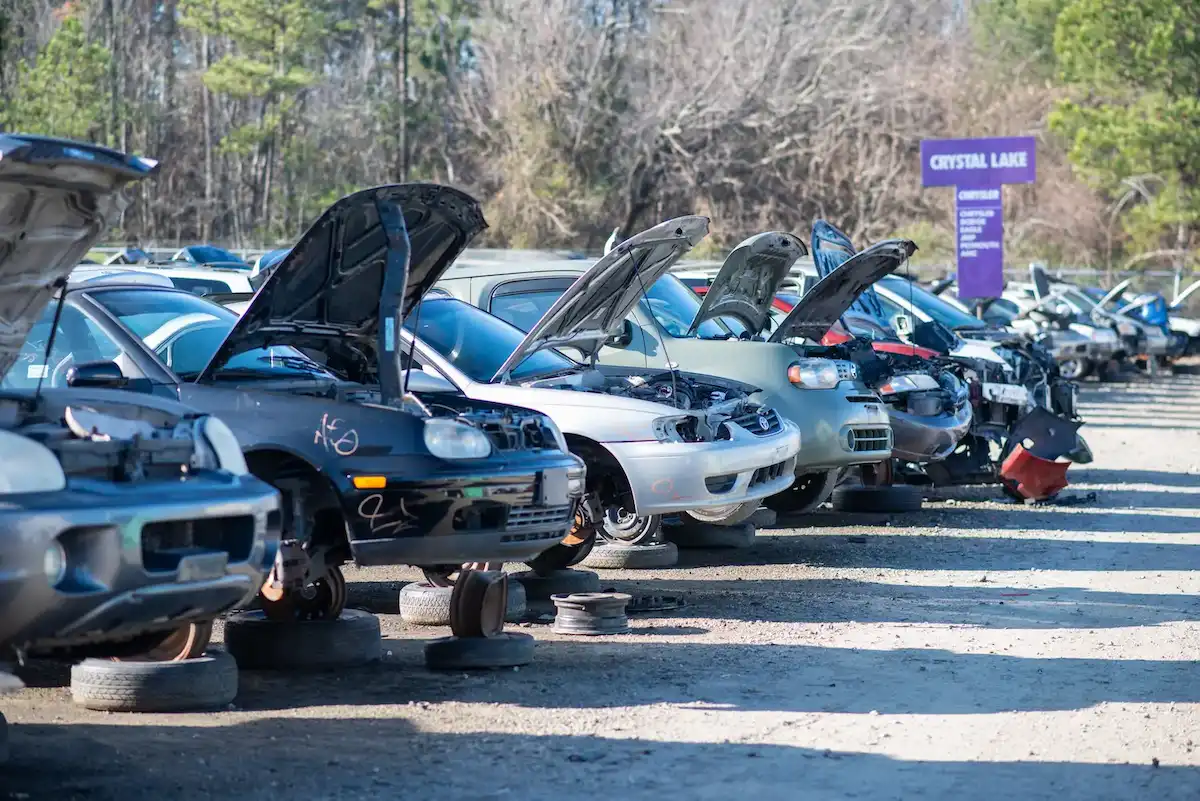 Row of junked cars with hoods open