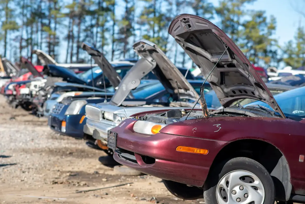 Row of cars with their hoods open